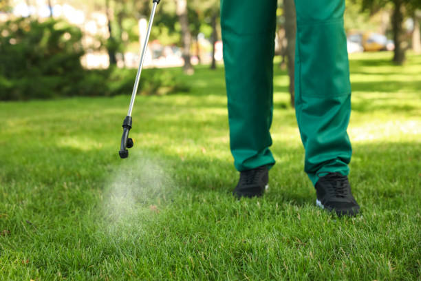 Best Local Pest Control Services  in Norridge, IL