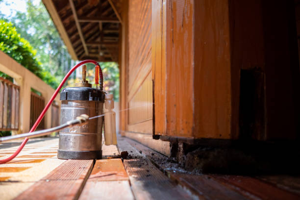 Best Cockroach Control Services  in Norridge, IL